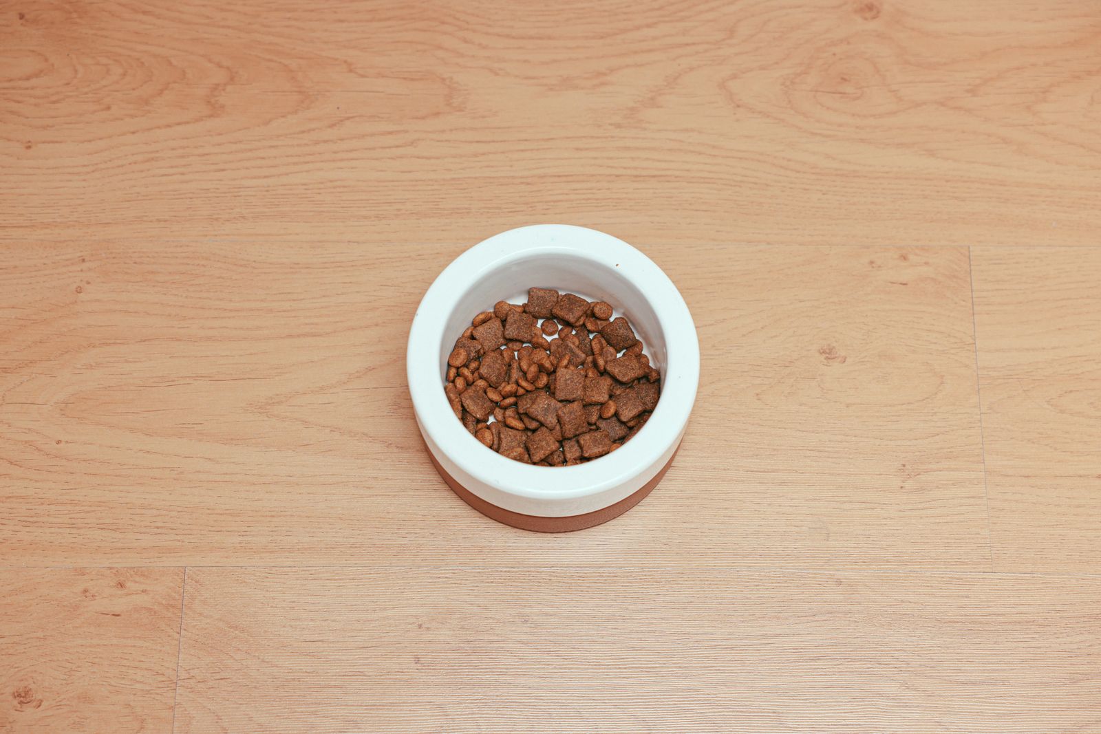 A bowl of dry pet food seen from above.