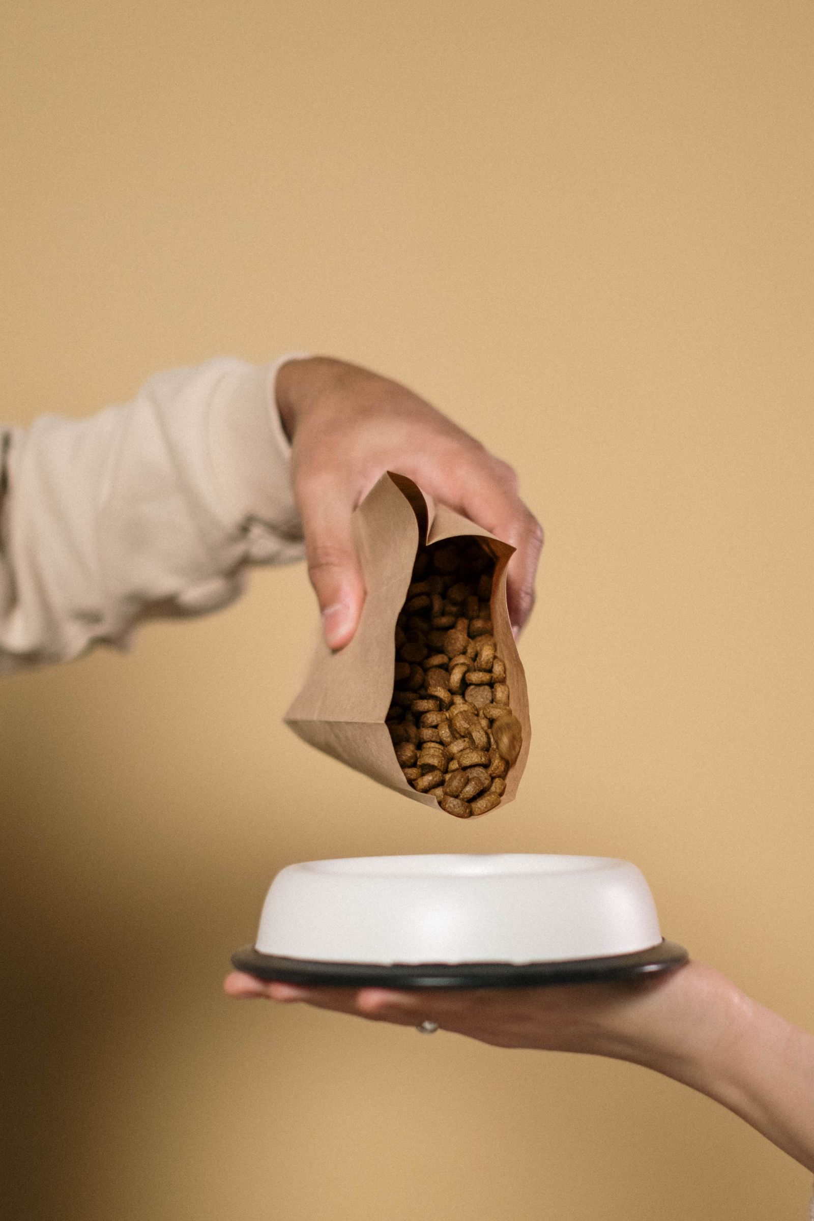 A measured portion of dry dog food being poured into a bowl.