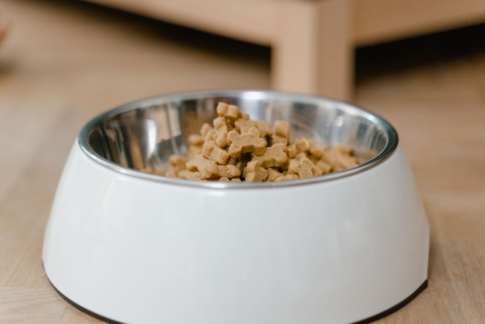 A white dog bowl with a stainless steel insert filled with bone-shaped kibble on a wooden floor.